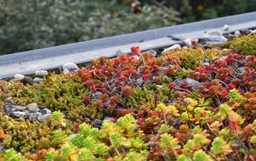 the cost of Great Bosullow green roof installation