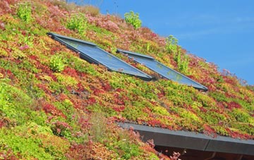 Great Bosullow living roof systems