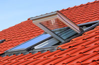Great Bosullow roof window